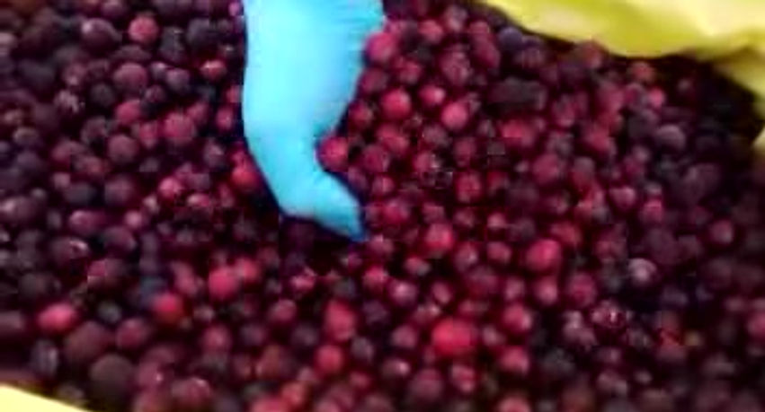 Seaview Cranberries in box video